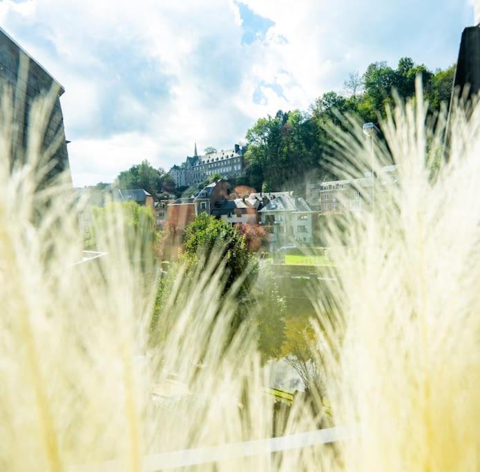 Le Comble Amoureux La-Roche-en-Ardenne Eksteriør billede